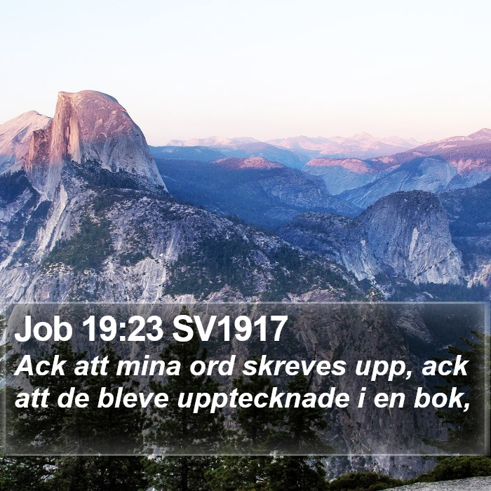 Job 19:23 SV1917 Bible Study