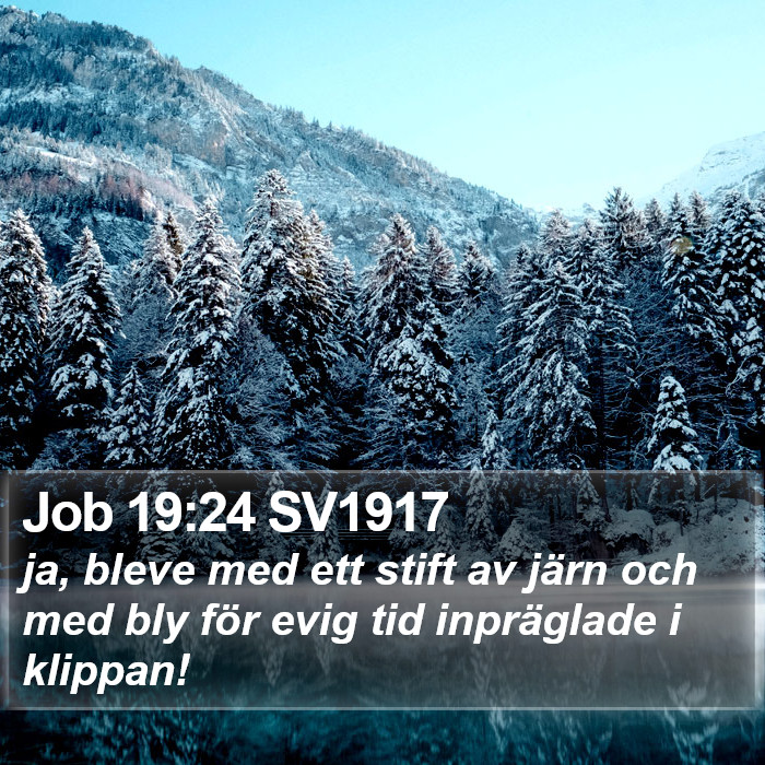 Job 19:24 SV1917 Bible Study