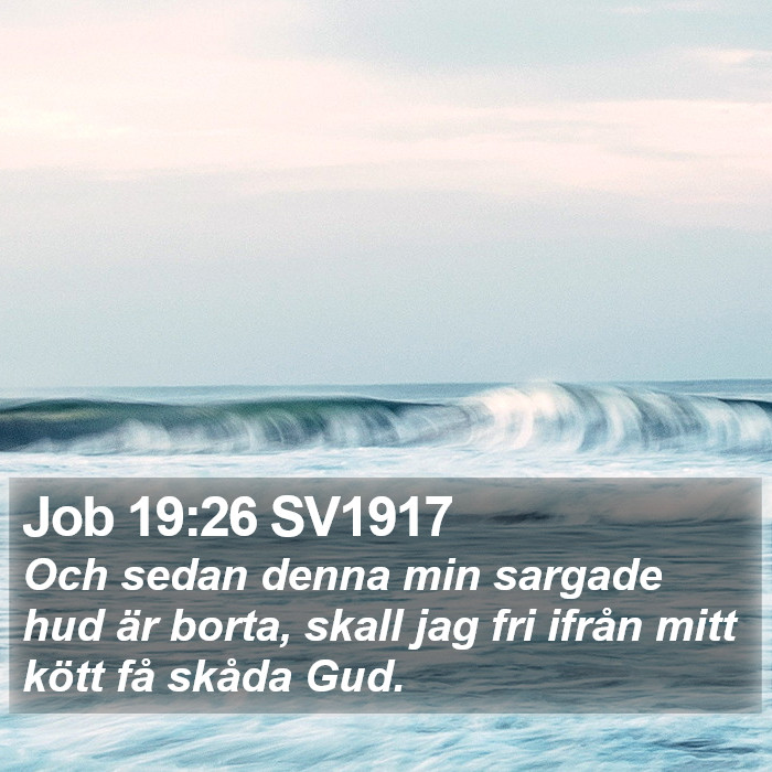 Job 19:26 SV1917 Bible Study