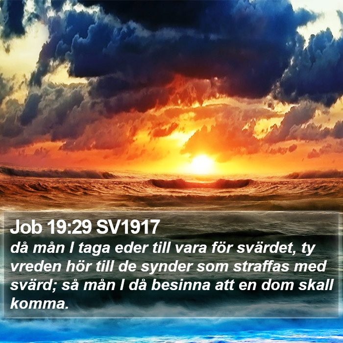 Job 19:29 SV1917 Bible Study