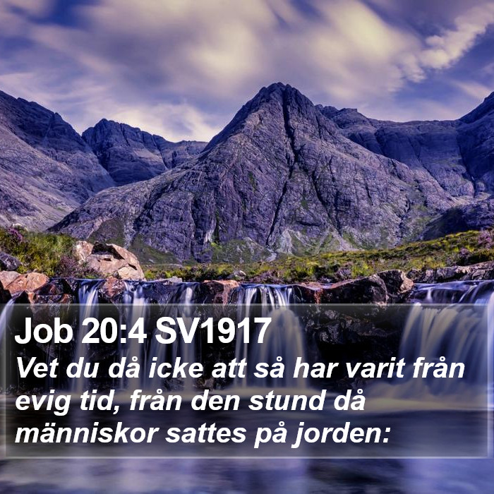 Job 20:4 SV1917 Bible Study