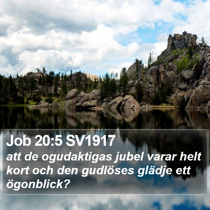 Job 20:5 SV1917 Bible Study