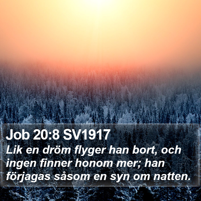 Job 20:8 SV1917 Bible Study