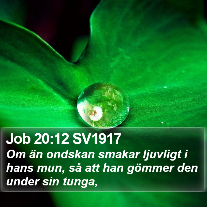 Job 20:12 SV1917 Bible Study