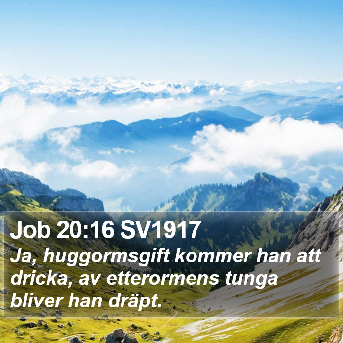Job 20:16 SV1917 Bible Study