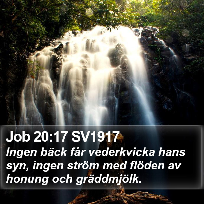 Job 20:17 SV1917 Bible Study