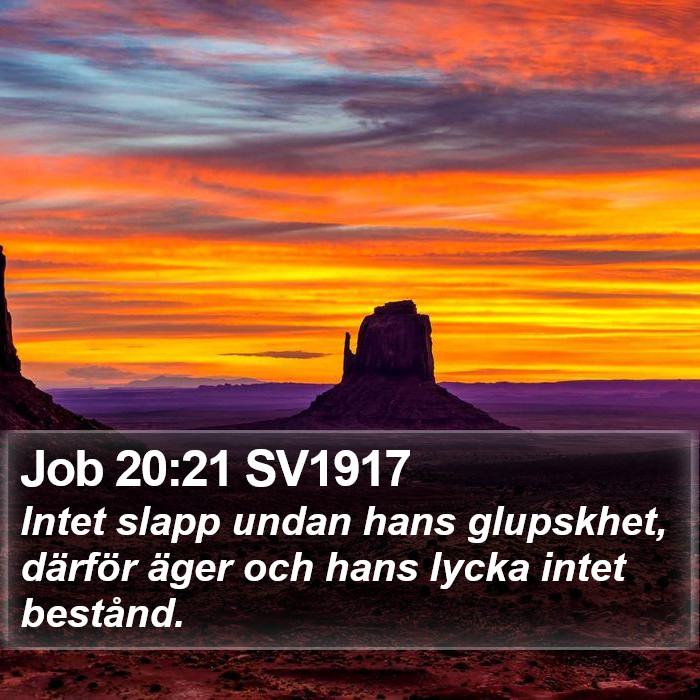 Job 20:21 SV1917 Bible Study