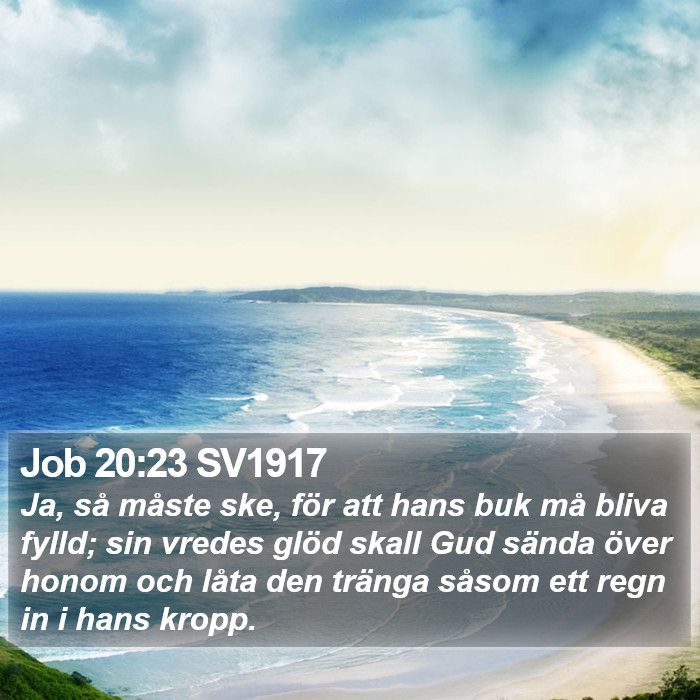 Job 20:23 SV1917 Bible Study