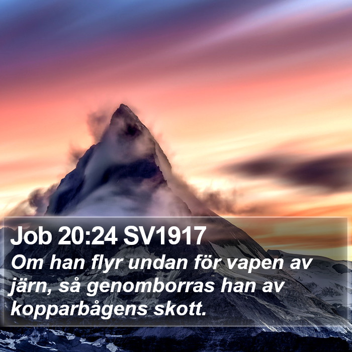 Job 20:24 SV1917 Bible Study