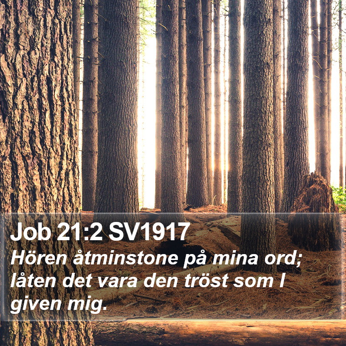 Job 21:2 SV1917 Bible Study