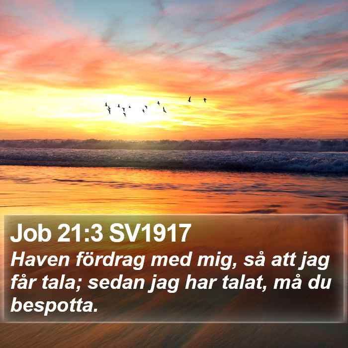 Job 21:3 SV1917 Bible Study