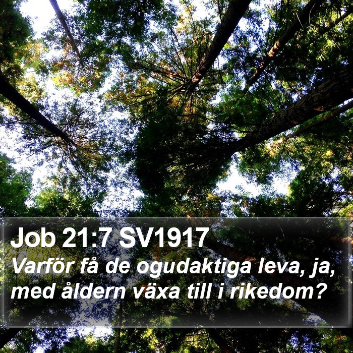 Job 21:7 SV1917 Bible Study