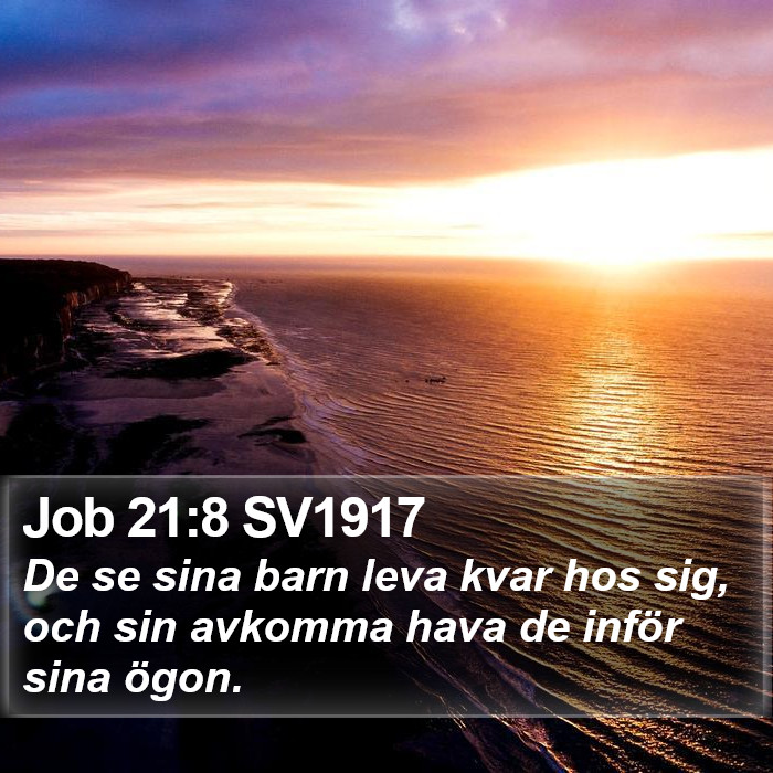 Job 21:8 SV1917 Bible Study