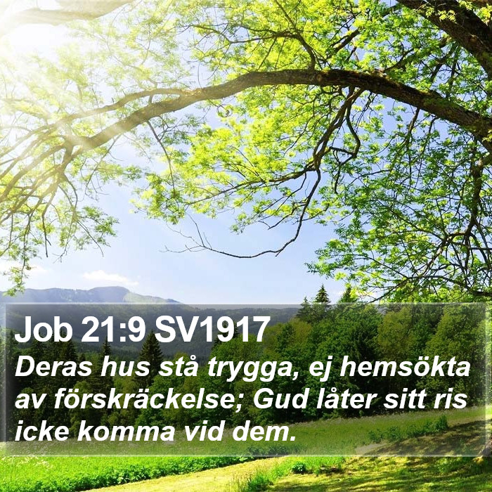 Job 21:9 SV1917 Bible Study