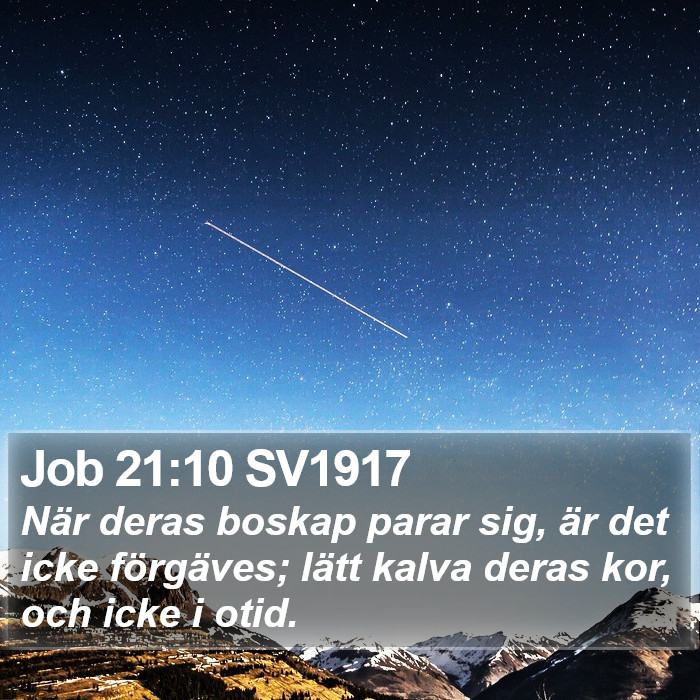 Job 21:10 SV1917 Bible Study