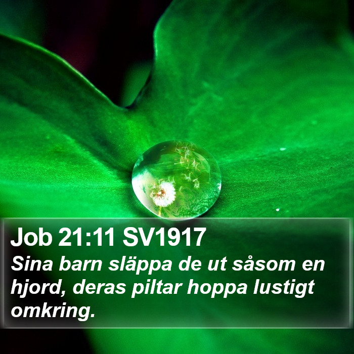 Job 21:11 SV1917 Bible Study