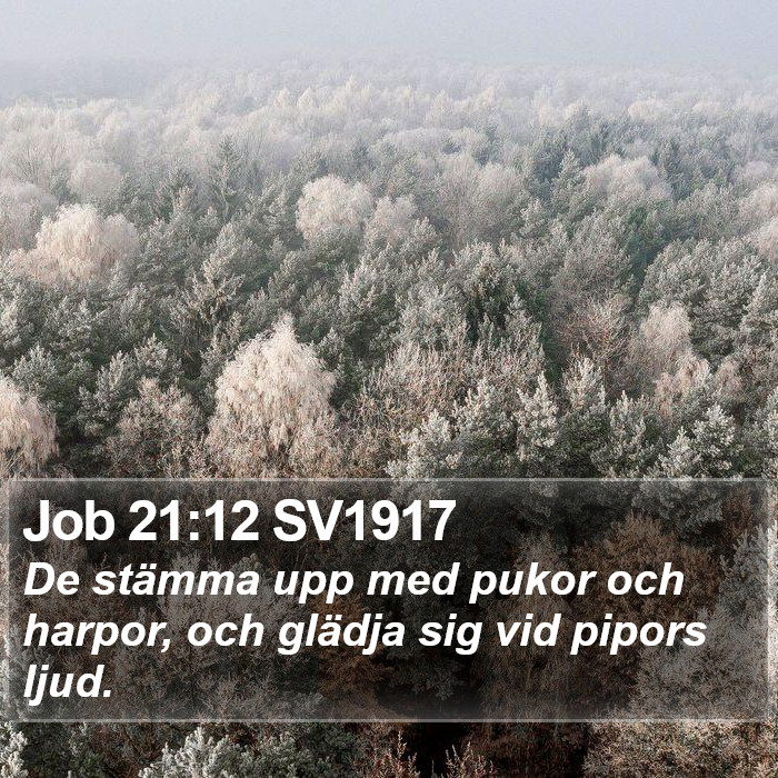 Job 21:12 SV1917 Bible Study