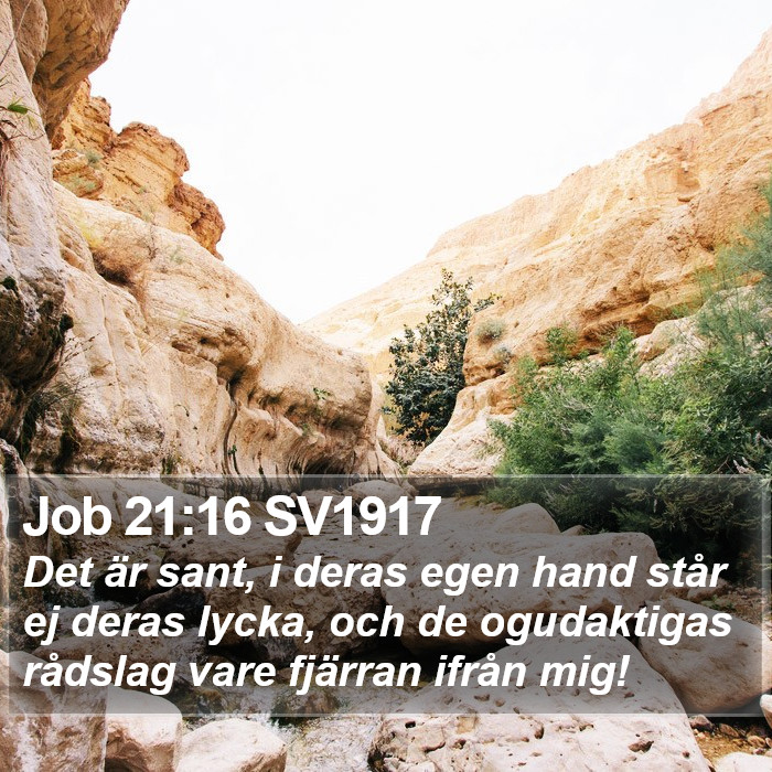 Job 21:16 SV1917 Bible Study