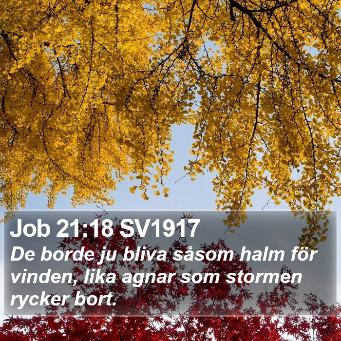 Job 21:18 SV1917 Bible Study