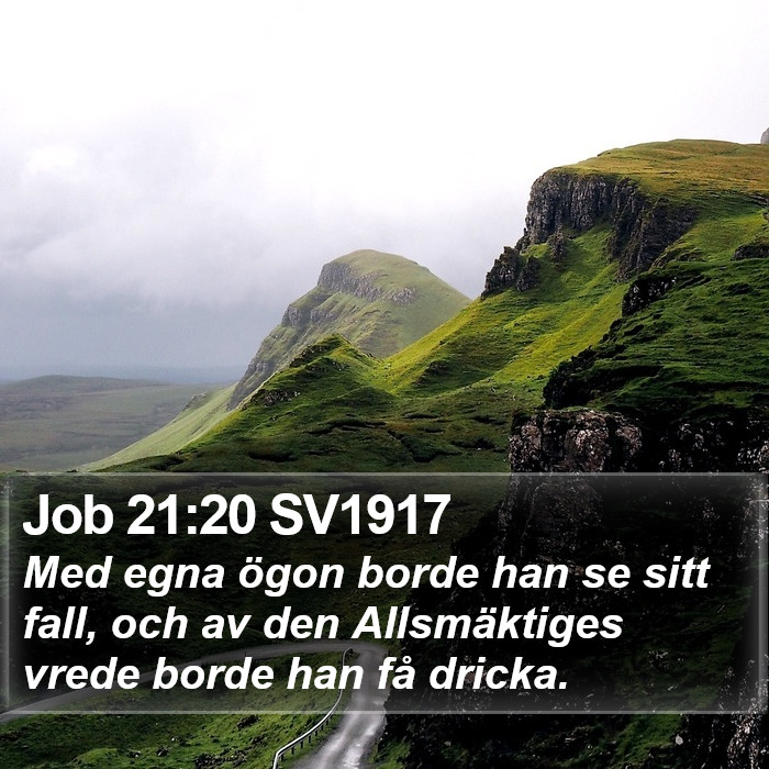 Job 21:20 SV1917 Bible Study