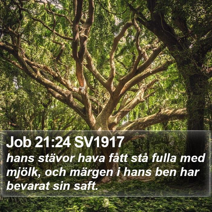 Job 21:24 SV1917 Bible Study