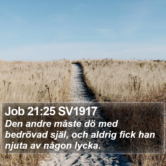 Job 21:25 SV1917 Bible Study