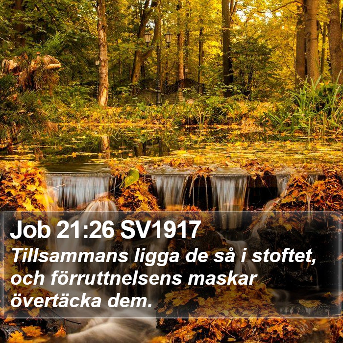 Job 21:26 SV1917 Bible Study