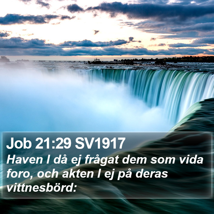 Job 21:29 SV1917 Bible Study