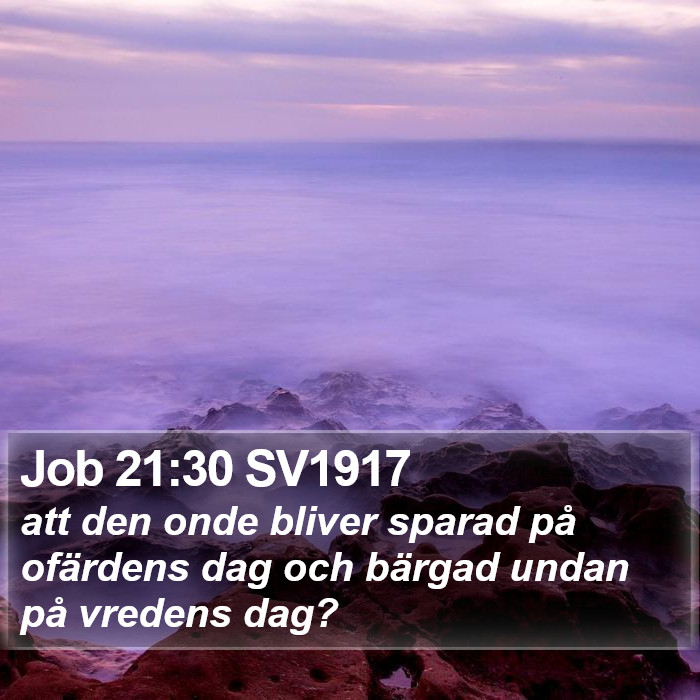 Job 21:30 SV1917 Bible Study