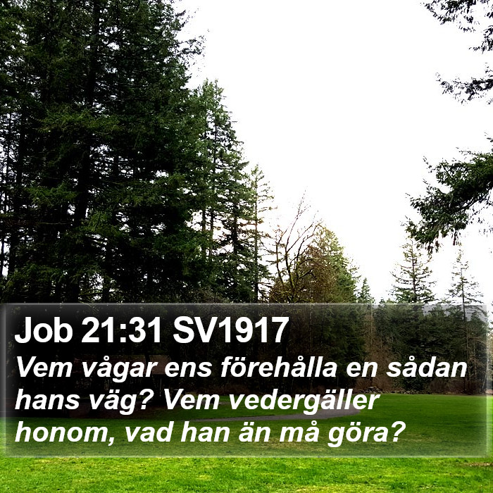 Job 21:31 SV1917 Bible Study