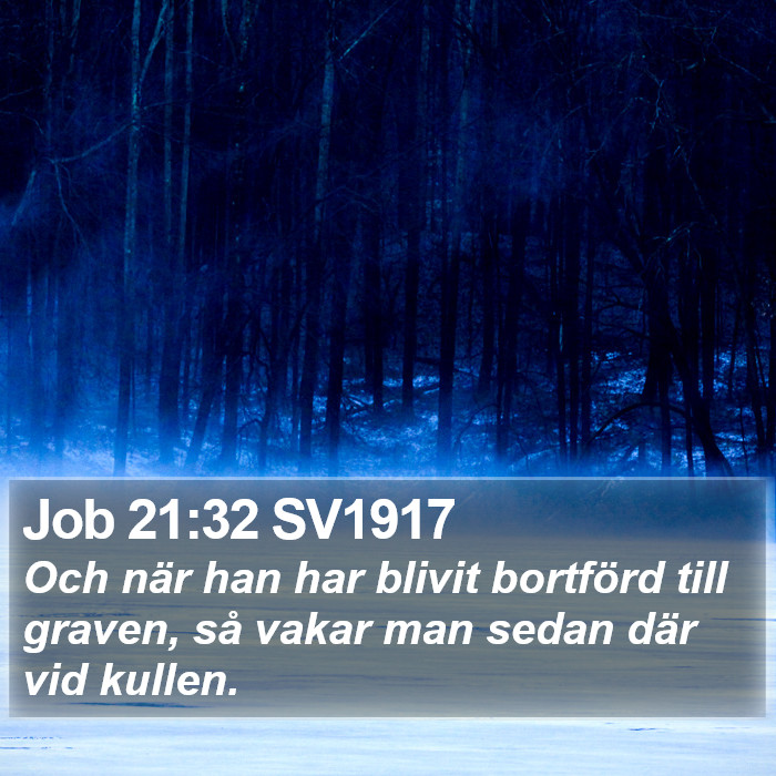 Job 21:32 SV1917 Bible Study