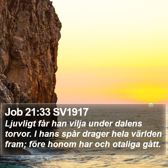 Job 21:33 SV1917 Bible Study