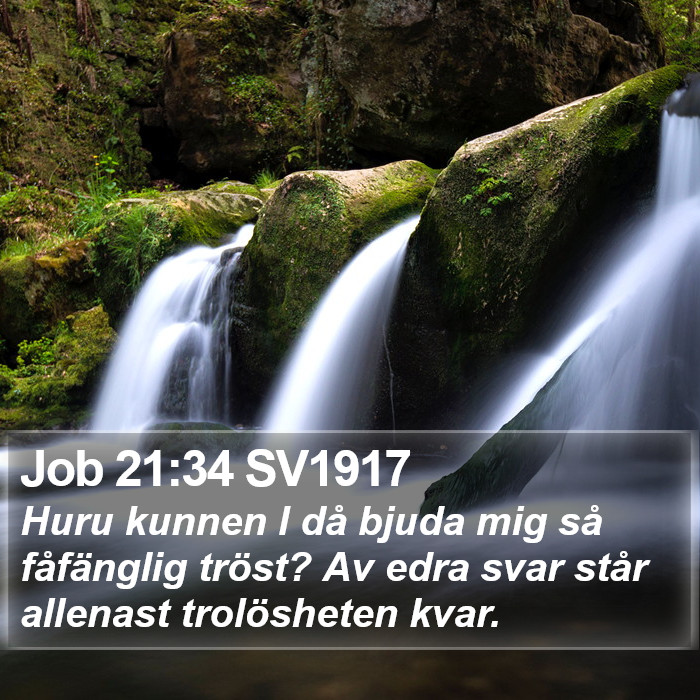 Job 21:34 SV1917 Bible Study