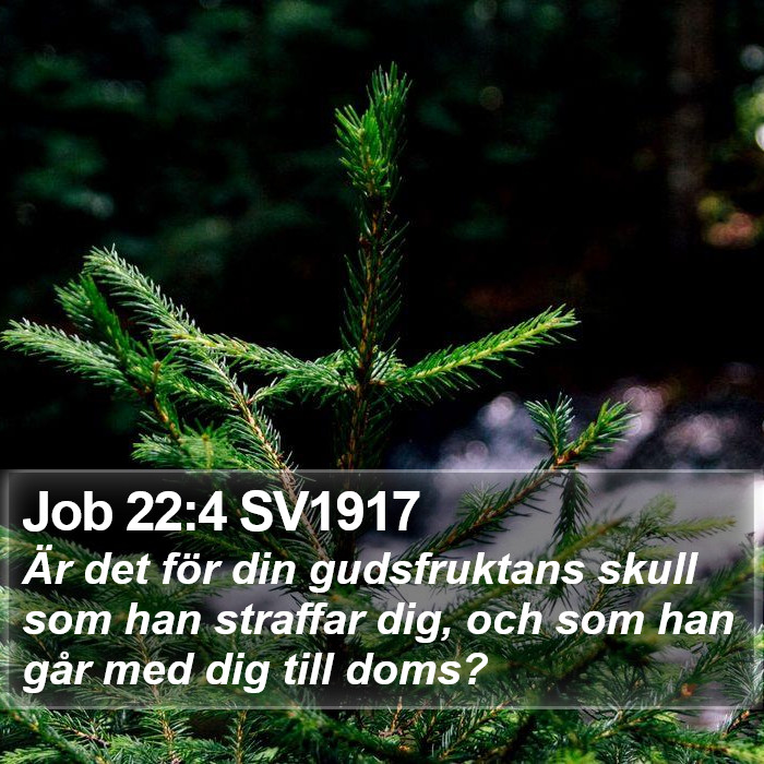 Job 22:4 SV1917 Bible Study