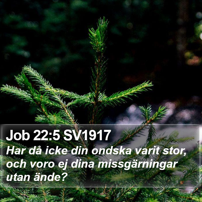 Job 22:5 SV1917 Bible Study