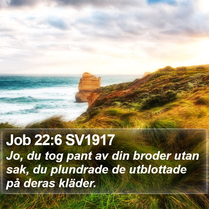 Job 22:6 SV1917 Bible Study