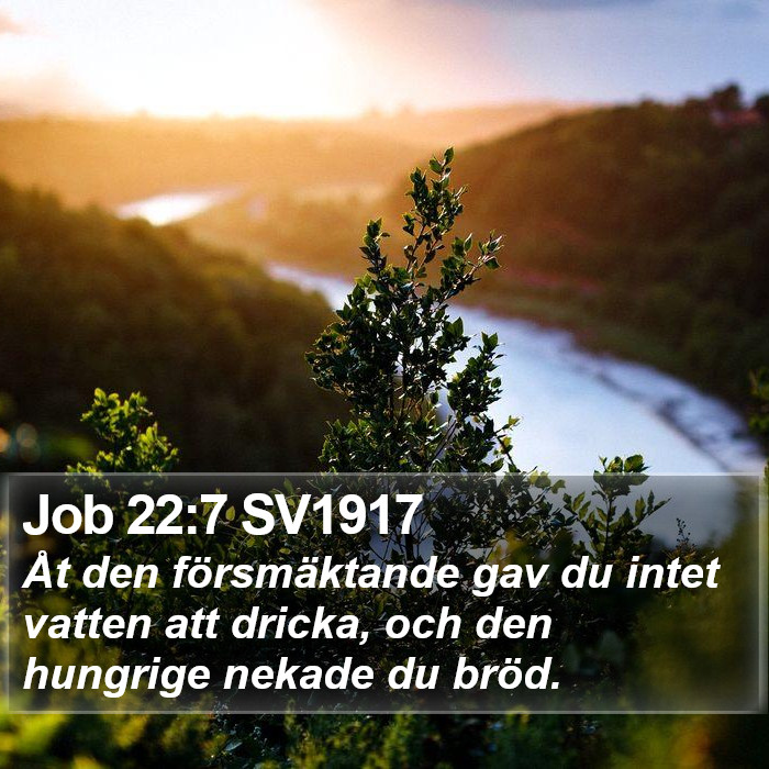 Job 22:7 SV1917 Bible Study