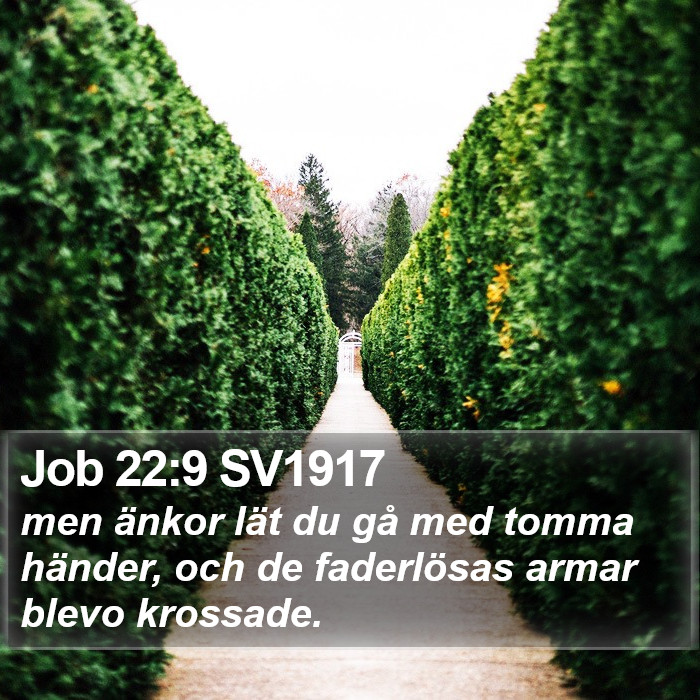 Job 22:9 SV1917 Bible Study