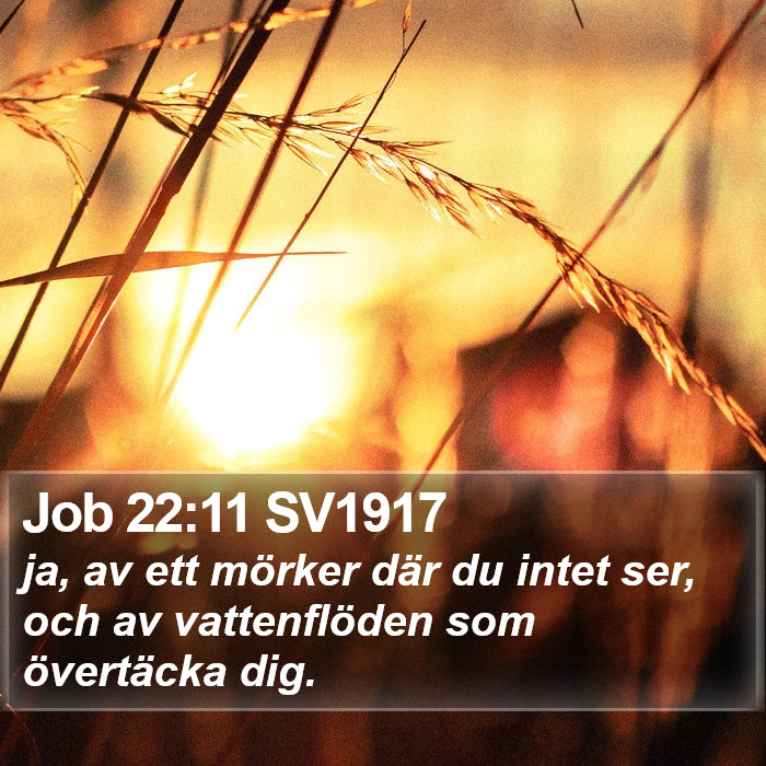 Job 22:11 SV1917 Bible Study