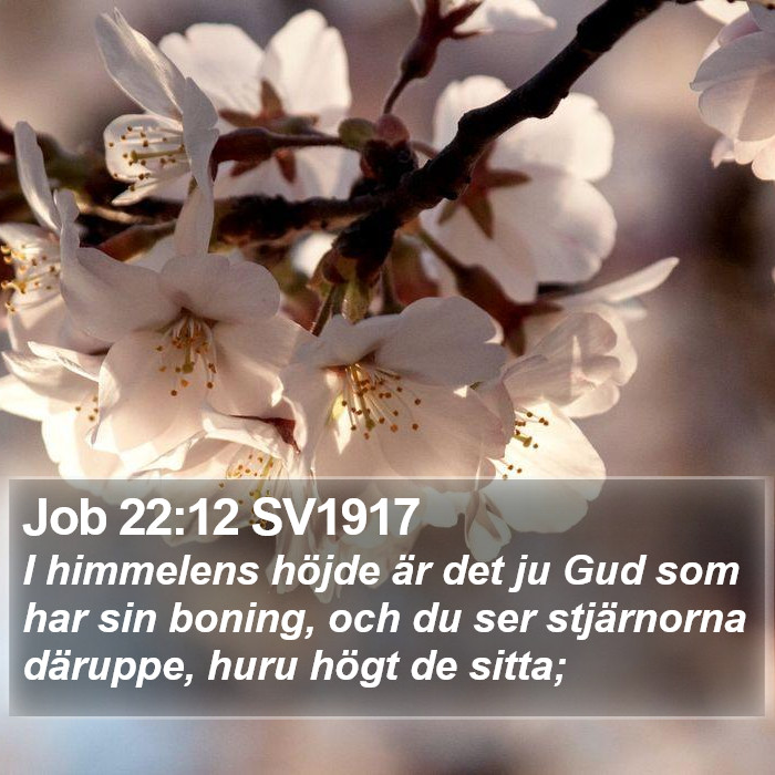 Job 22:12 SV1917 Bible Study