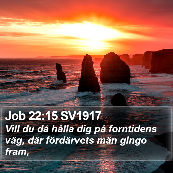 Job 22:15 SV1917 Bible Study