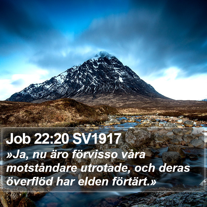 Job 22:20 SV1917 Bible Study