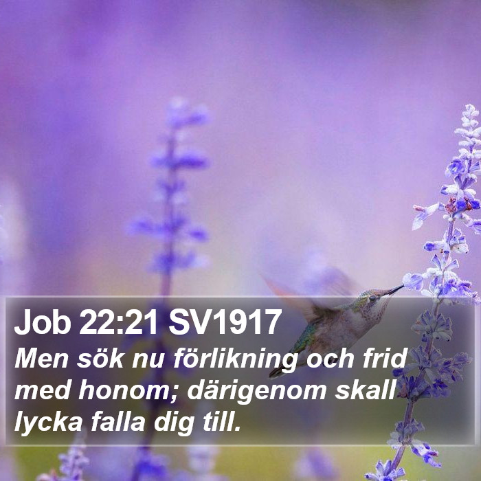 Job 22:21 SV1917 Bible Study