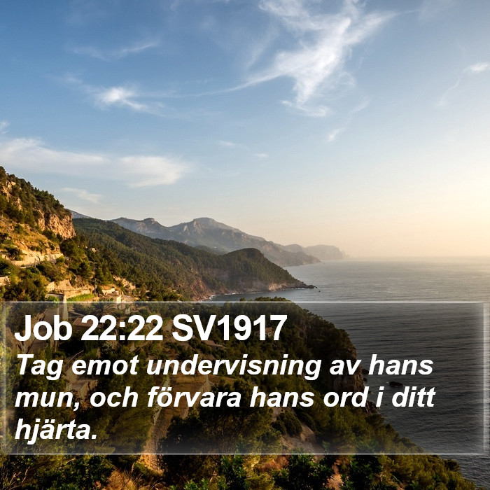 Job 22:22 SV1917 Bible Study