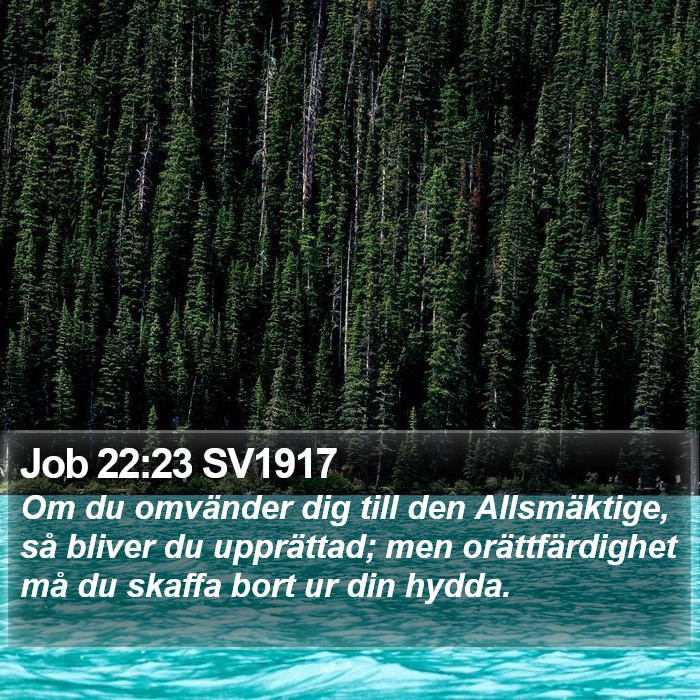 Job 22:23 SV1917 Bible Study