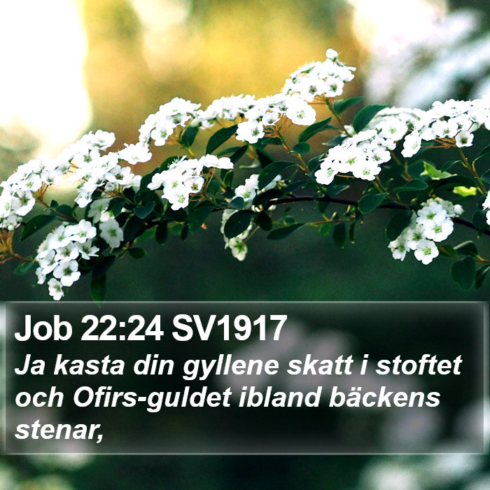 Job 22:24 SV1917 Bible Study