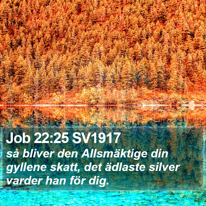 Job 22:25 SV1917 Bible Study