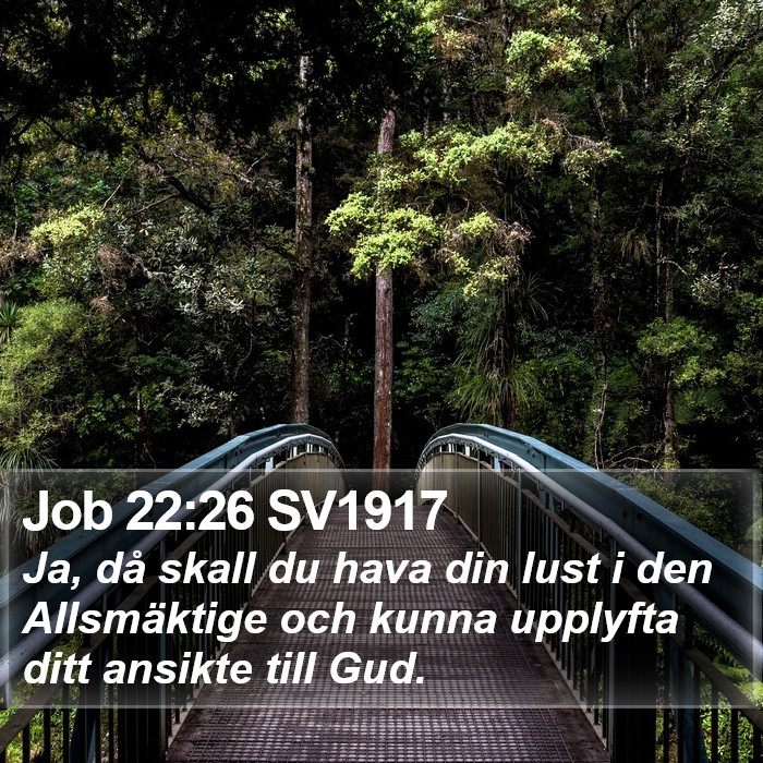 Job 22:26 SV1917 Bible Study