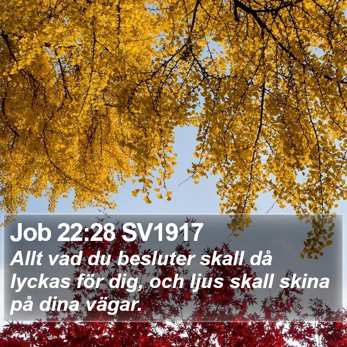 Job 22:28 SV1917 Bible Study