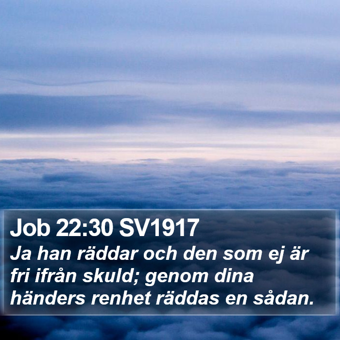 Job 22:30 SV1917 Bible Study